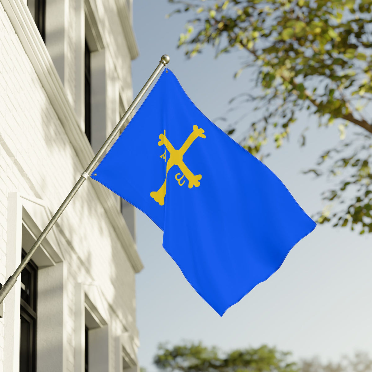 Kingdom of Asturias Flag