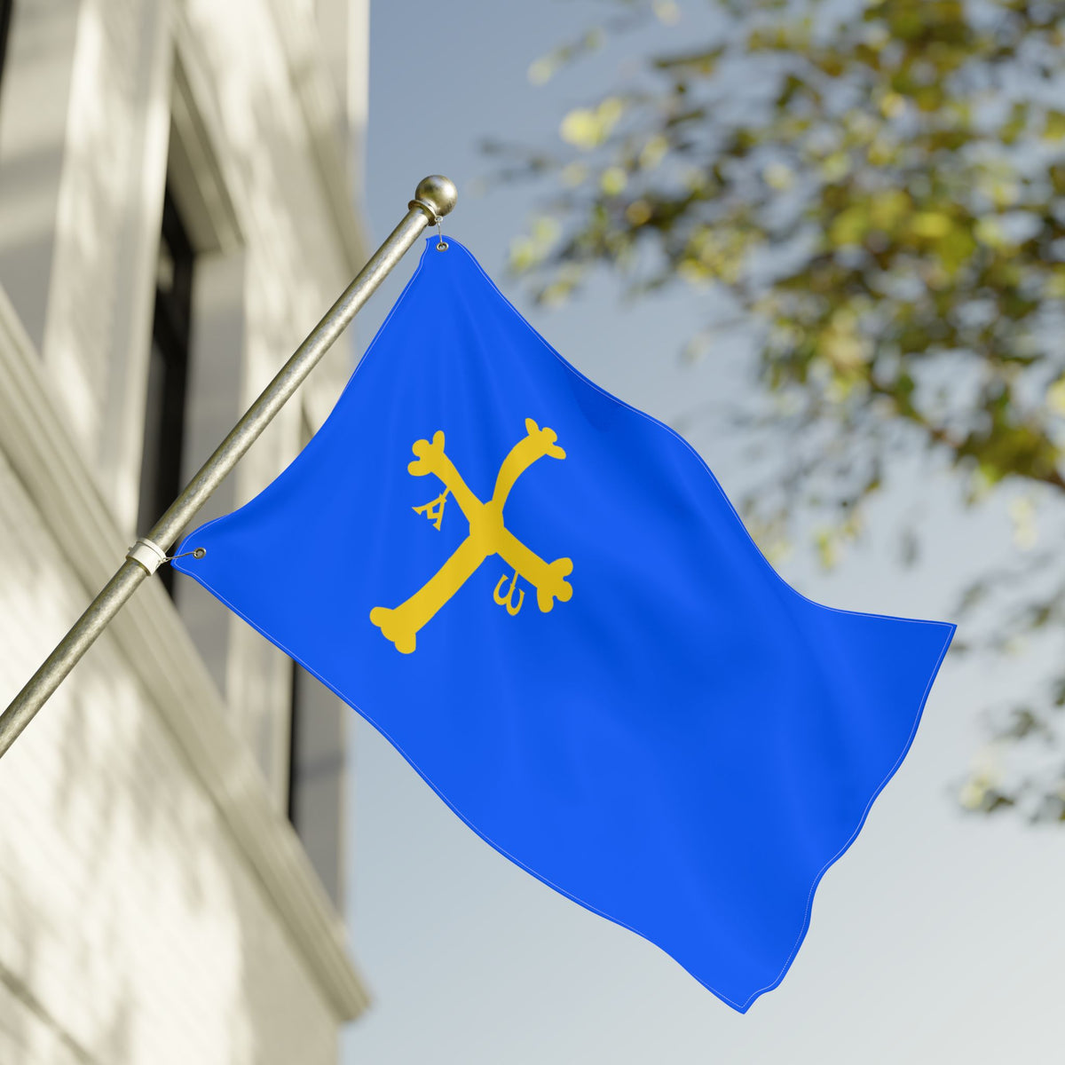 Kingdom of Asturias Flag