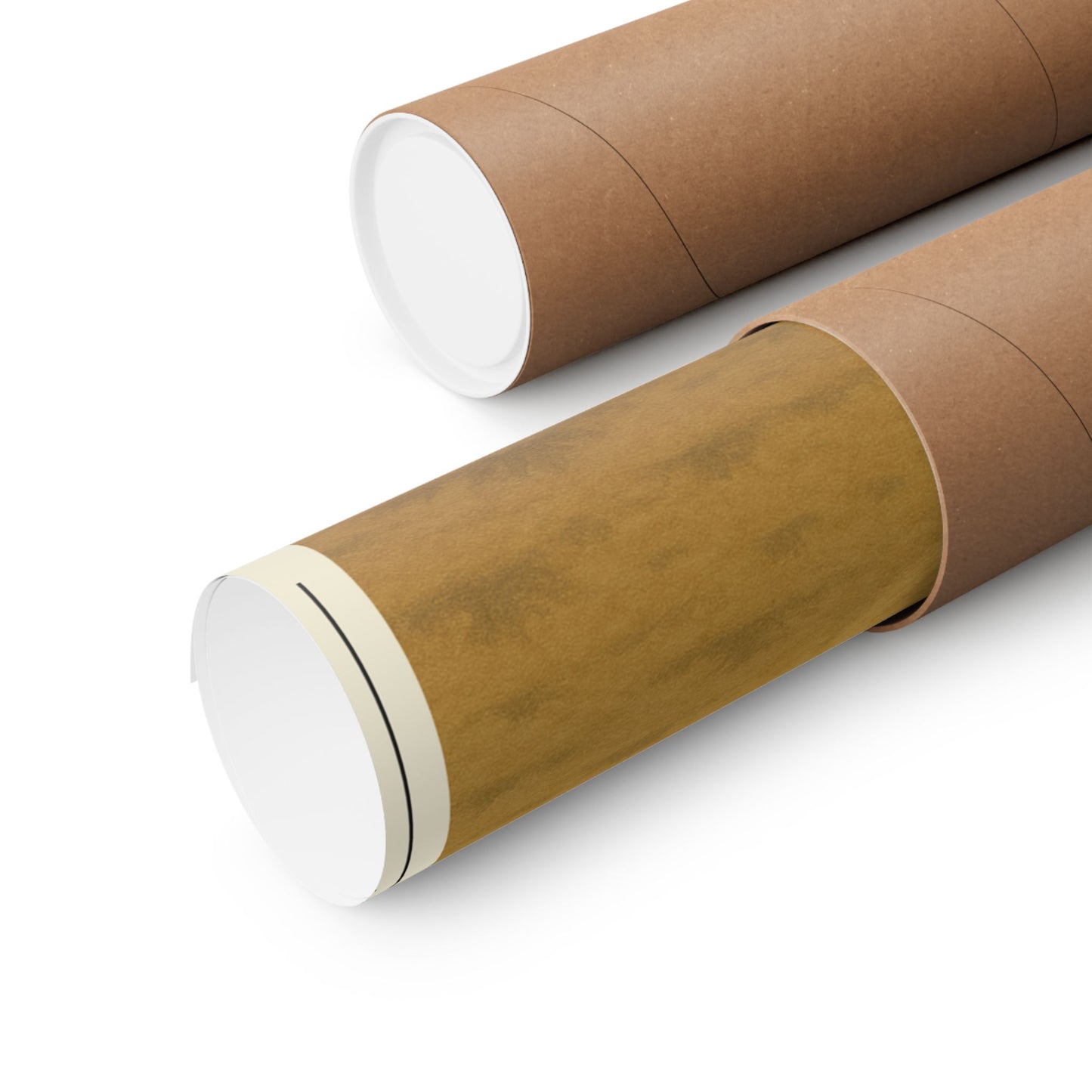 Deuteronomy 31:8 Desert Path Poster | Matte Vertical Poster