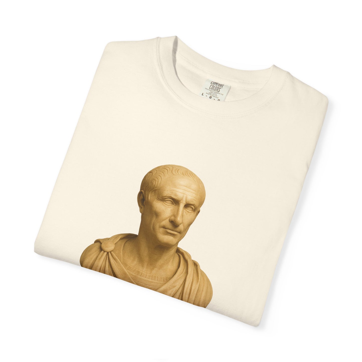 Julius Caesar Veni, Vidi, Vici T-shirt | Classical Graphic Tee