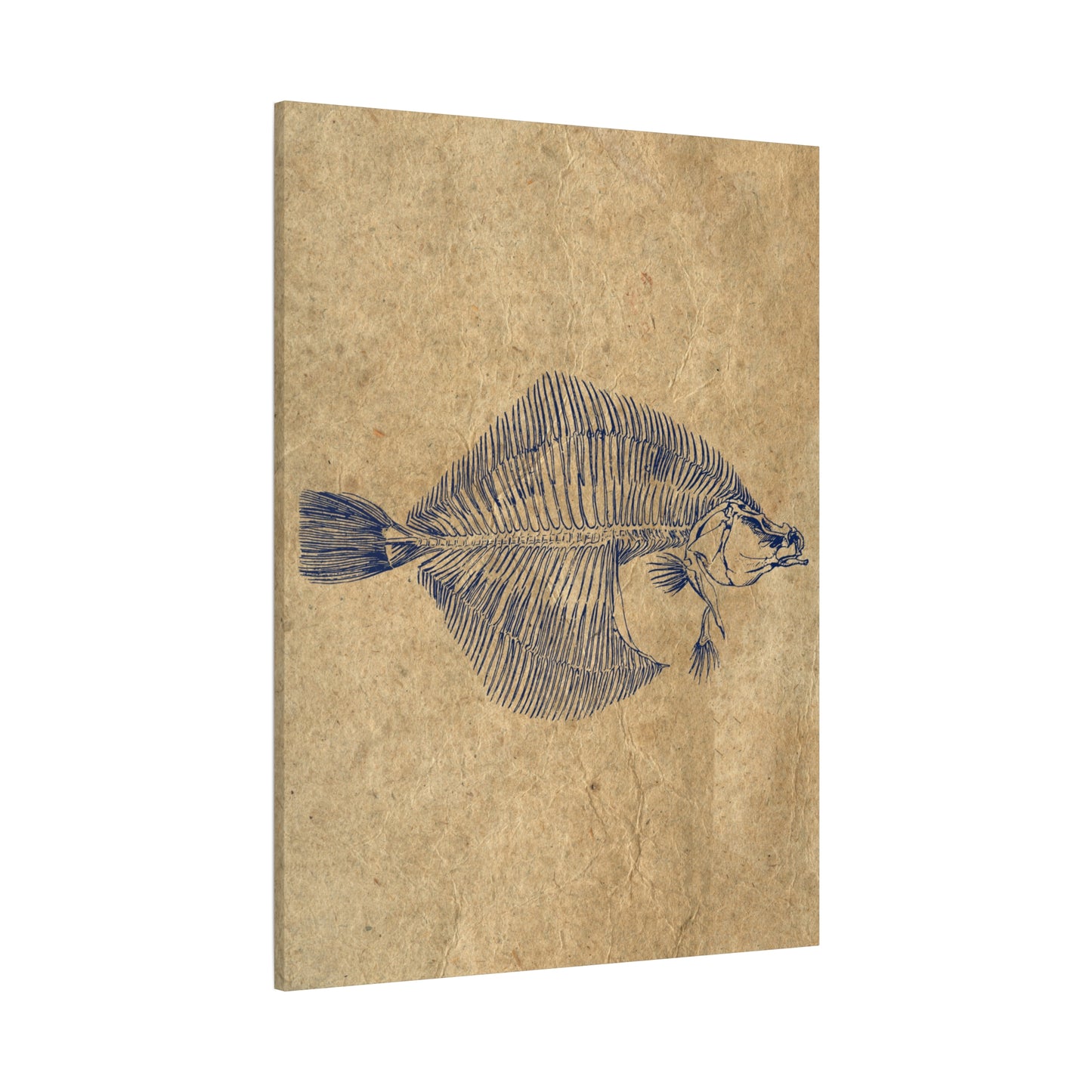 Vintage Fish Skeleton Illustration Matte Canvas